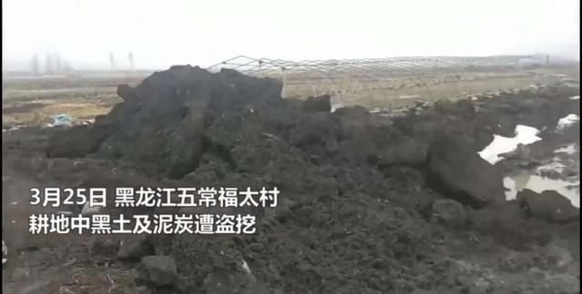 土值钱吗？有种土被誉为“大熊猫”！但现在竟然有人为了钱去贱卖
