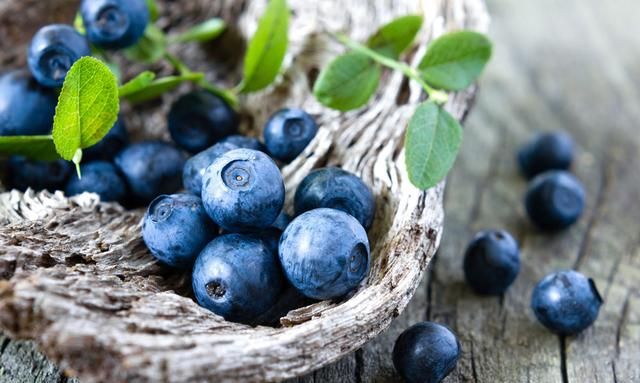 蓝莓果上的白霜才是蓝莓营养的精华吗图7