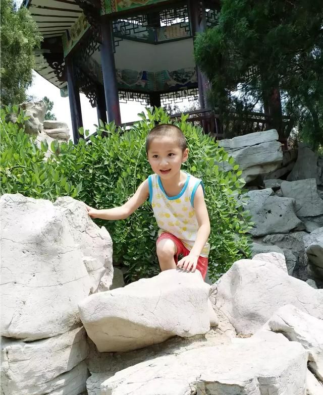 吃什么食物对美容养颜有好处(吃什么食物能美容养颜对皮肤好)图9