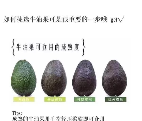 7个月宝宝能吃牛油果吗(牛油果便秘宝宝可以吃吗)图5