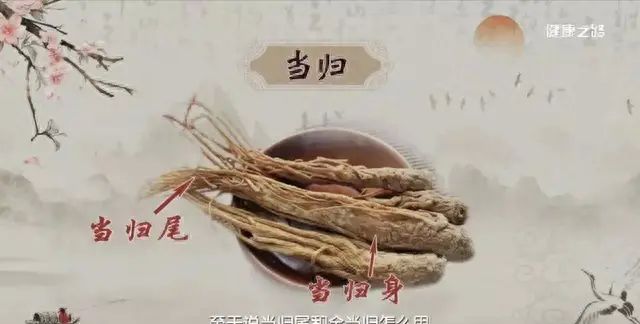 都说当归补血效果好，但专家提醒：当归“身”和“尾”，效用不同需对症！