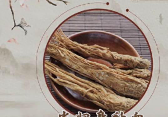 都说当归补血效果好，但专家提醒：当归“身”和“尾”，效用不同需对症！