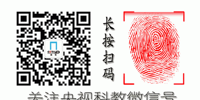 都说当归补血效果好，但专家提醒：当归“身”和“尾”，效用不同需对症！
