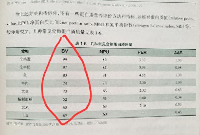 蛋白质不可或缺，但也不是多多益善