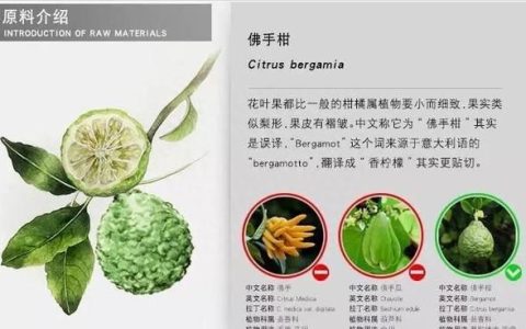 佛手柑精油对皮肤的功效(佛手柑精油怎么用在面部)