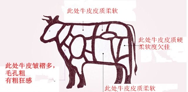 汉代的阿胶是牛皮还是驴皮(古时阿胶是牛皮还是驴皮)图2