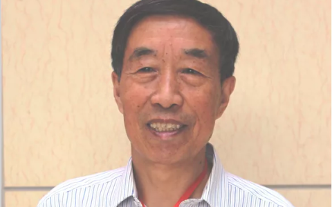 荒野能吃的野菜野果