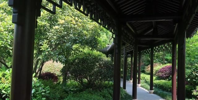 探店：四季酒店的布拉达芝士宴和哥本哈根气泡茶