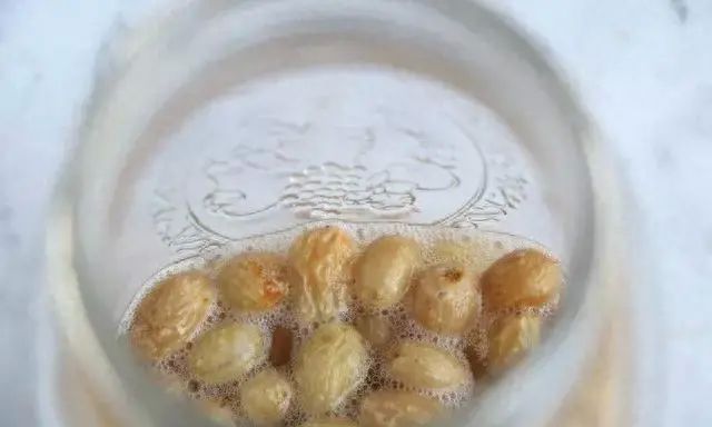 疫情让酵母粉火了，你可以自制酵母，健康美味还香甜！