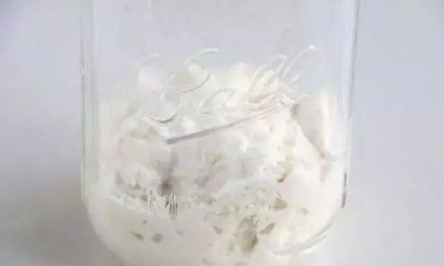 疫情让酵母粉火了，你可以自制酵母，健康美味还香甜！