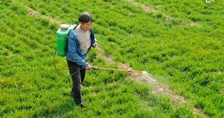 除草剂怎么使用,除草剂怎么使用可以抑制植物生长图4