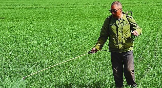 除草剂怎么使用,除草剂怎么使用可以抑制植物生长图6