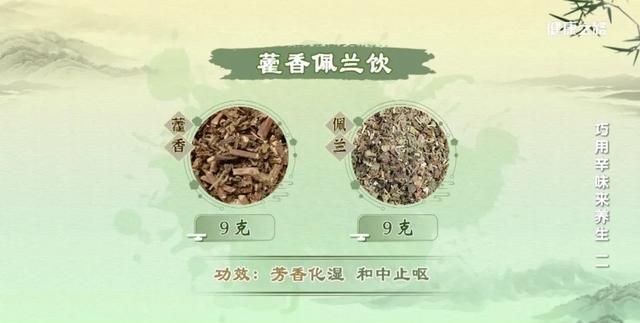 薄荷、藿香、紫苏，辛味叶子的芳香有何功效？