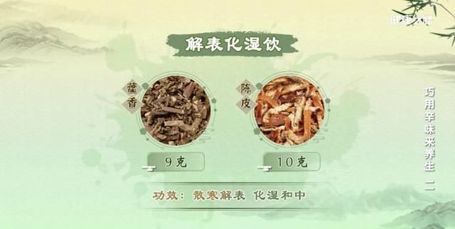 薄荷、藿香、紫苏，辛味叶子的芳香有何功效？