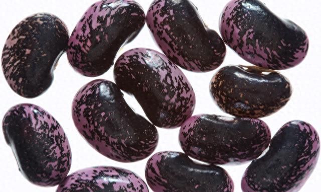 传说中的补肾豆，种植简单，防病是关键