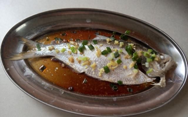 食谱-鲥鱼吃不起，买条斑鰶来冒充，姜粒蒸咸鲜鱼做法