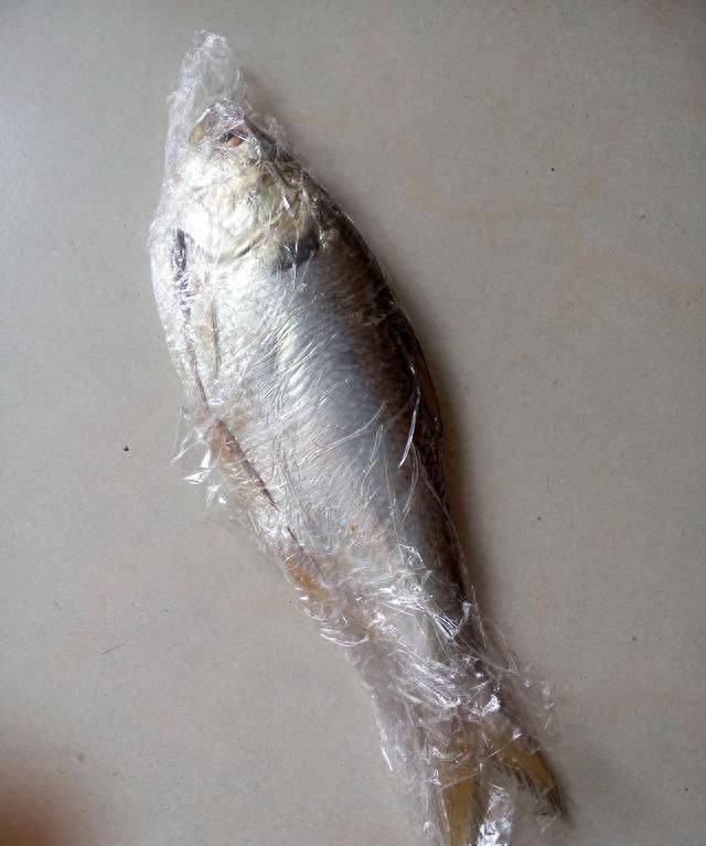 食谱-鲥鱼吃不起，买条斑鰶来冒充，姜粒蒸咸鲜鱼做法