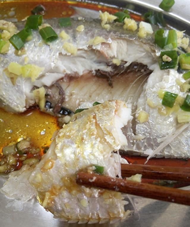 食谱-鲥鱼吃不起，买条斑鰶来冒充，姜粒蒸咸鲜鱼做法