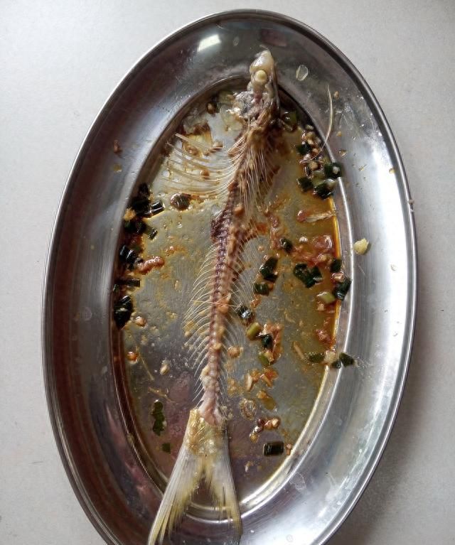 食谱-鲥鱼吃不起，买条斑鰶来冒充，姜粒蒸咸鲜鱼做法