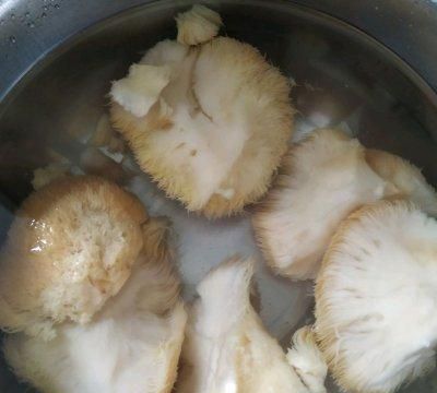 简单好吃的猴头菇炖排骨，秒变大厨