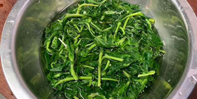 4月遇到山苜楂别手软，比荠菜韭菜鲜，农村遍地是，包饺子吃特香