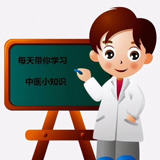 每日一中药——丁香