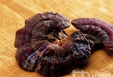 人工种植的巨型灵芝功效,野生灵芝和人工种植灵芝功效图4