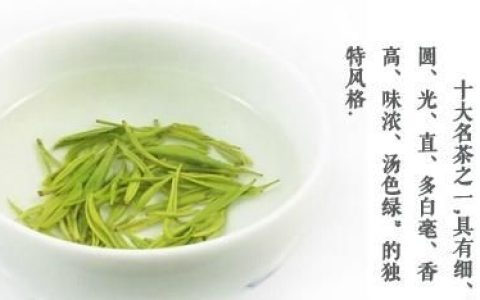 信阳毛尖高山茶哪里的好