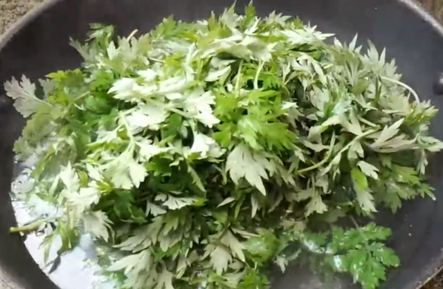 艾草全身都是宝，分享家常好吃做法，入口清香美味，每年五月必做