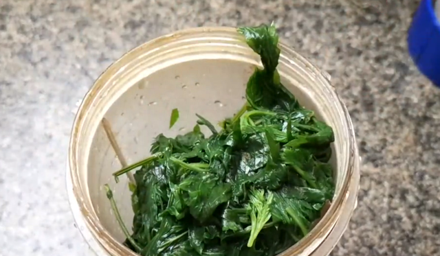 艾草全身都是宝，分享家常好吃做法，入口清香美味，每年五月必做