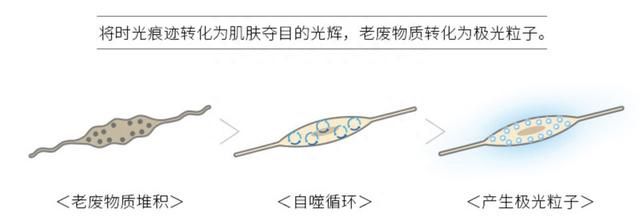 日本化妆品四大之一POLA合集：开启肌肤卓越之美