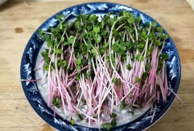 冬天就要多吃这种芽苗菜，洗一洗，拌一拌，清爽微辣，降脂不长肉