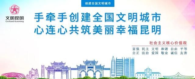 【春城秀】又到了“吃杨梅”的季节!除了鲜吃,这七种吃法也超赞!
