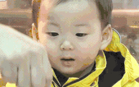 奶酪这样吃美味营养都加倍