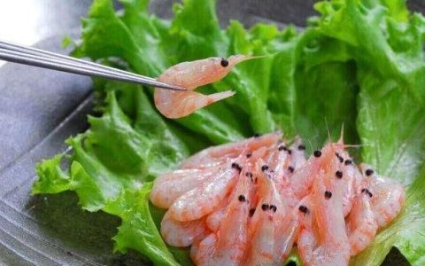 南极磷虾有什么营养,南极磷虾与深海虾哪种更有营养