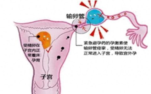 内分泌系统疾病用药,避孕药可以吗