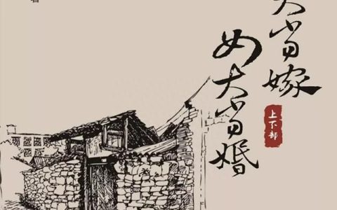 小说男大当嫁女大当婚(男大当婚女大当嫁)