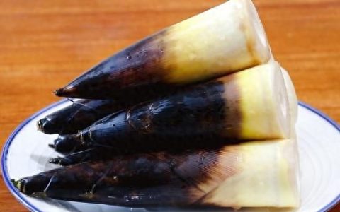 春天的小笋子怎么做好吃(这个季节的笋子怎么做好吃)