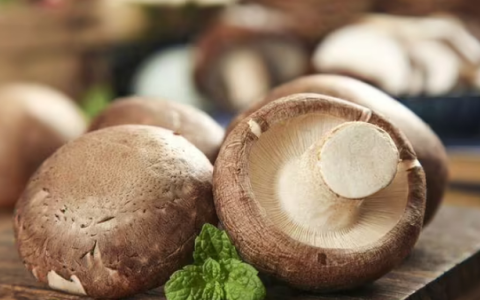 香菇做什么菜比较好吃又简单窍门