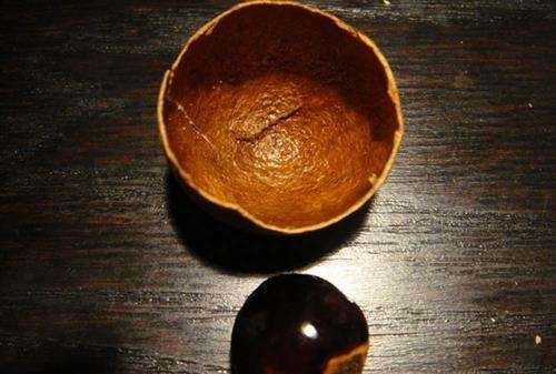 桂圆干是滋补类中药,桂圆干的壳有药用价值吗图1