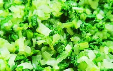 三伏天吃小白菜,这季节吃饺子韭菜和小白菜哪个好