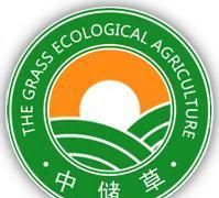 中储草：肉类提鲜增香的绝佳搭档——沙姜