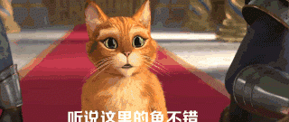 这个“长寿菜”含真正的脑黄金，家家吃得起！可惜很多人不知道