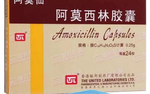 阿莫西林可以与什么药配合使用