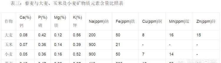 荞麦有什么营养最适合什么人吃(荞麦不适合什么人吃)图10