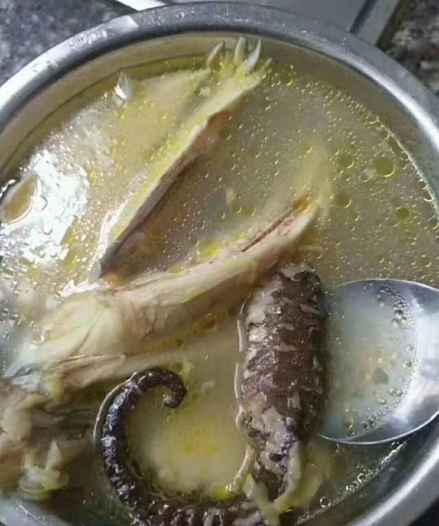 吃货南神：海马田七煲鸡，吃了让你舒筋活络，止咳平喘