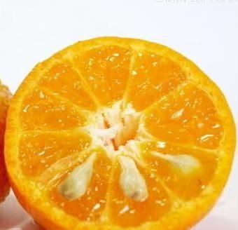 橙子籽有什么功效,橙子籽榨汁能吃吗图3