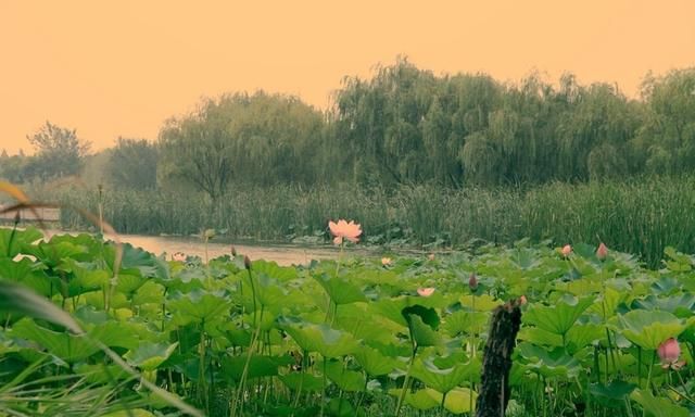 无锡好玩吗(无锡哪里最好玩)图7