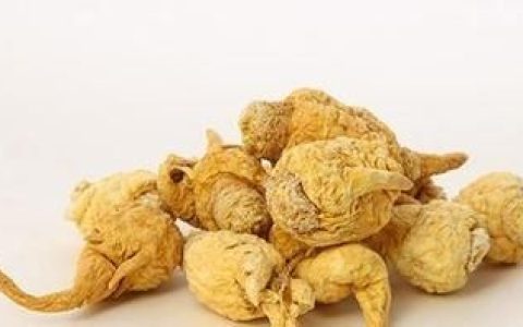 玛卡多种吃法(玛卡的最佳吃法和用途)