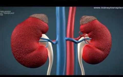 换了肾的人建议吃什么